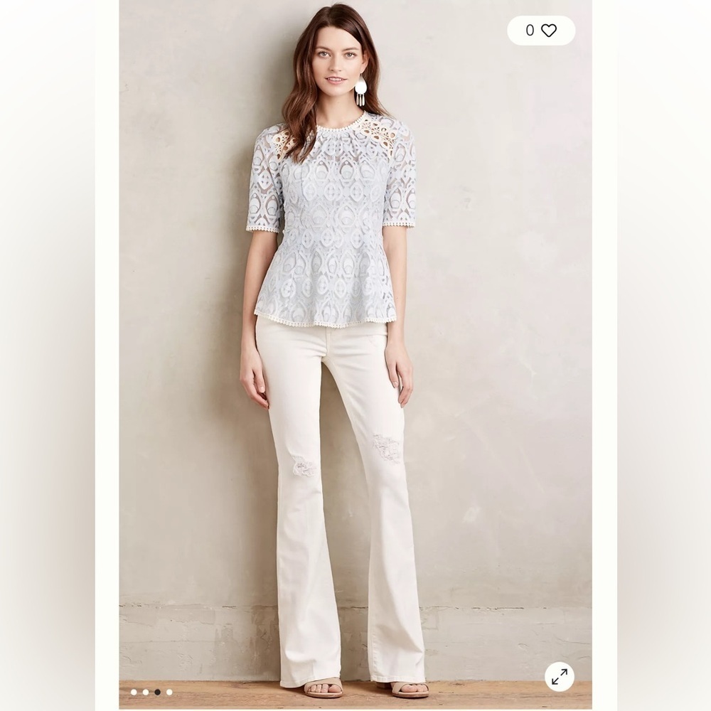 Anthropologie HD Lace Signa Pleasant Top. Sz 4 - Picture 10 of 10